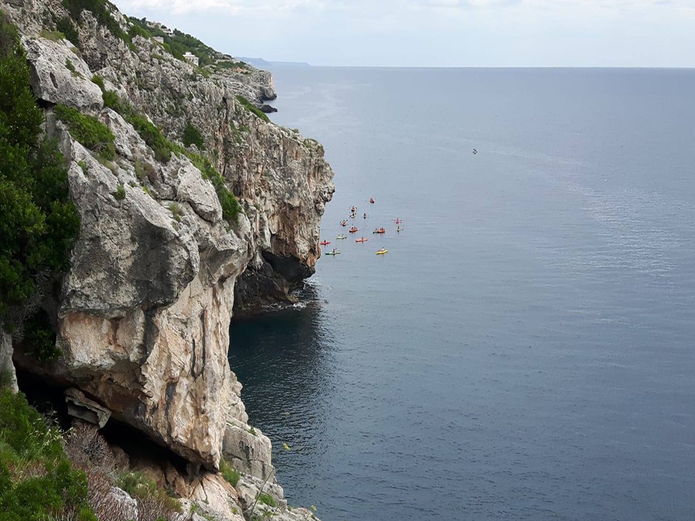Passeggiata Naturalistica: Light Trekking al Ciolo