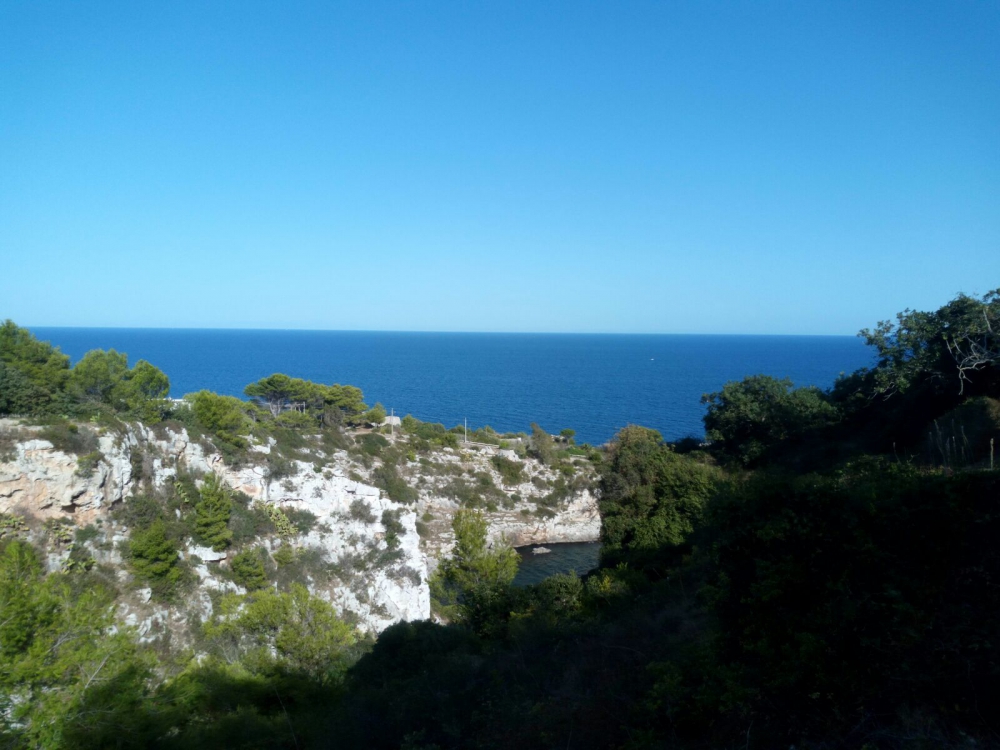 Passeggiata Naturalistica: Light Trekking al Ciolo