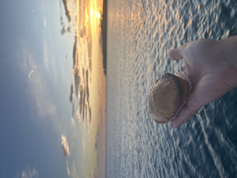 Escursione in barca a Gallipoli