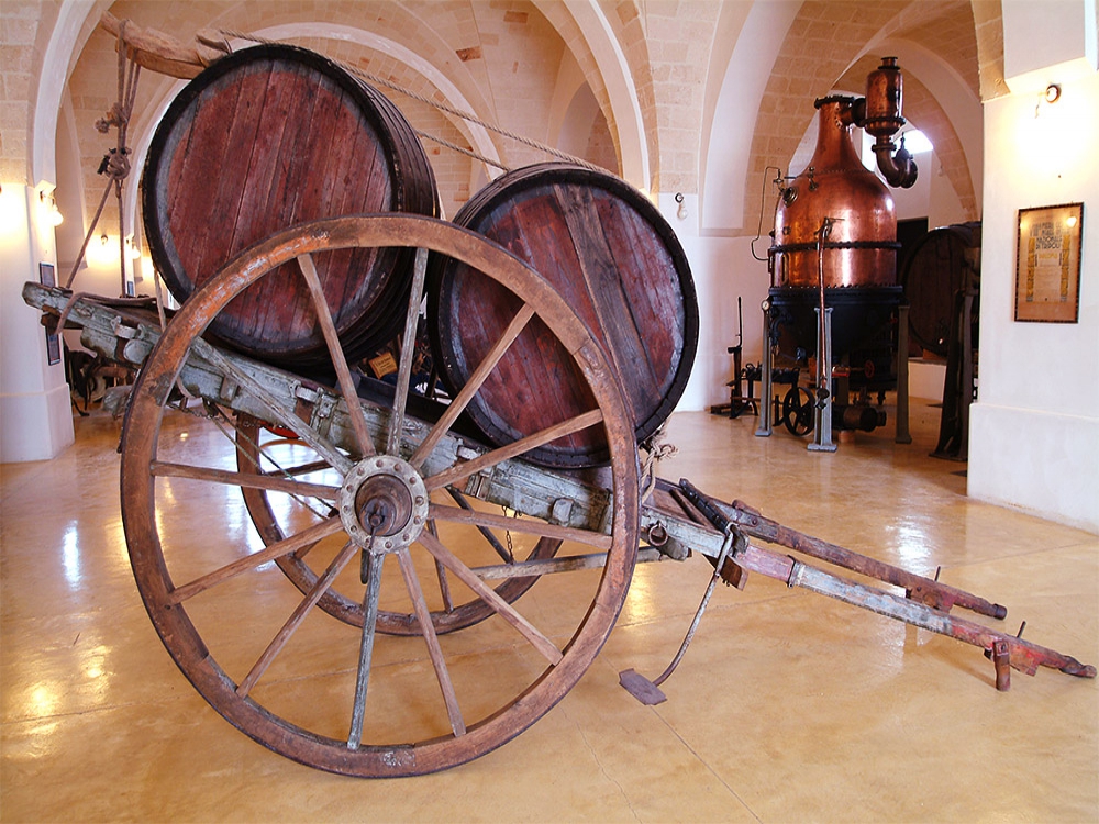 Primitivo Wine Tour a Manduria