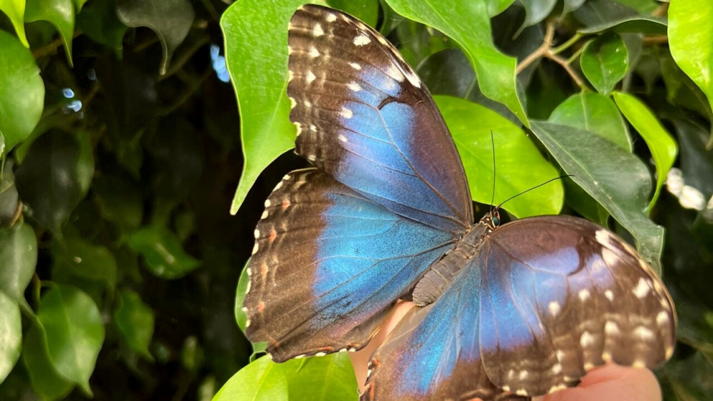 Museo di Storia Naturale Salento