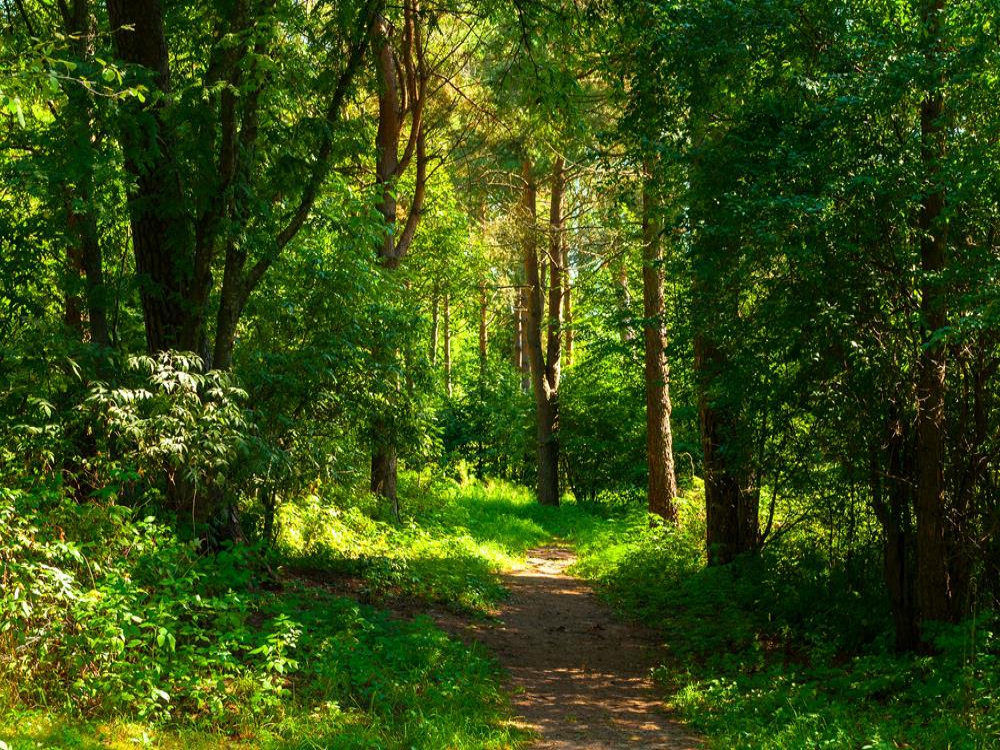 Passeggiata Naturalistica all'Oasi WWF Le Cesine