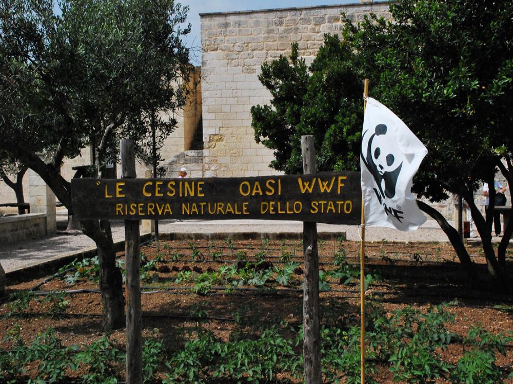 Passeggiata Naturalistica all'Oasi WWF Le Cesine