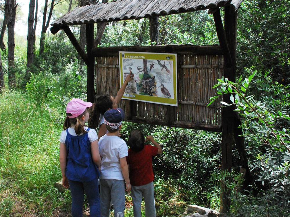 Passeggiata Naturalistica all'Oasi WWF Le Cesine