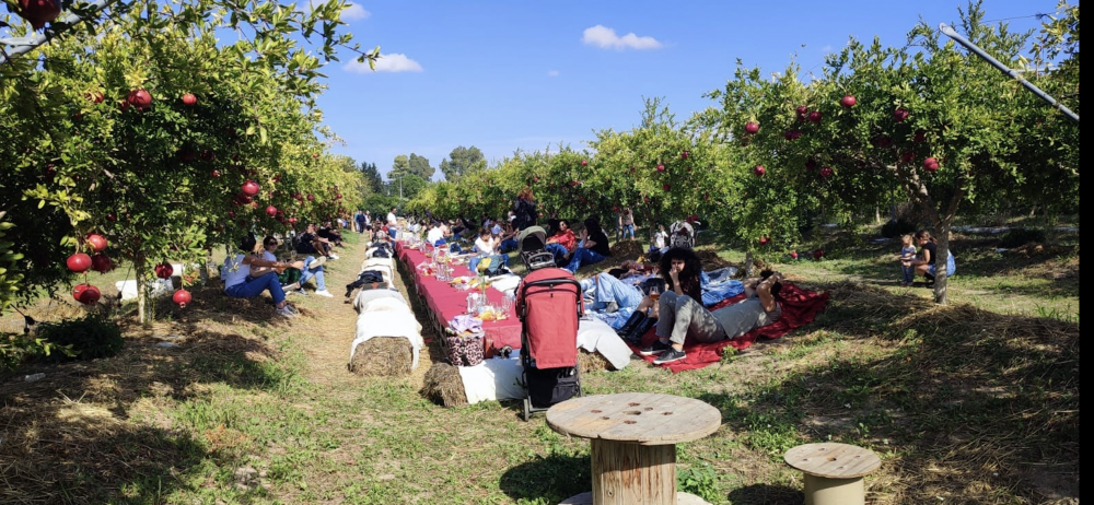 Picnic in serra tra i Melograni