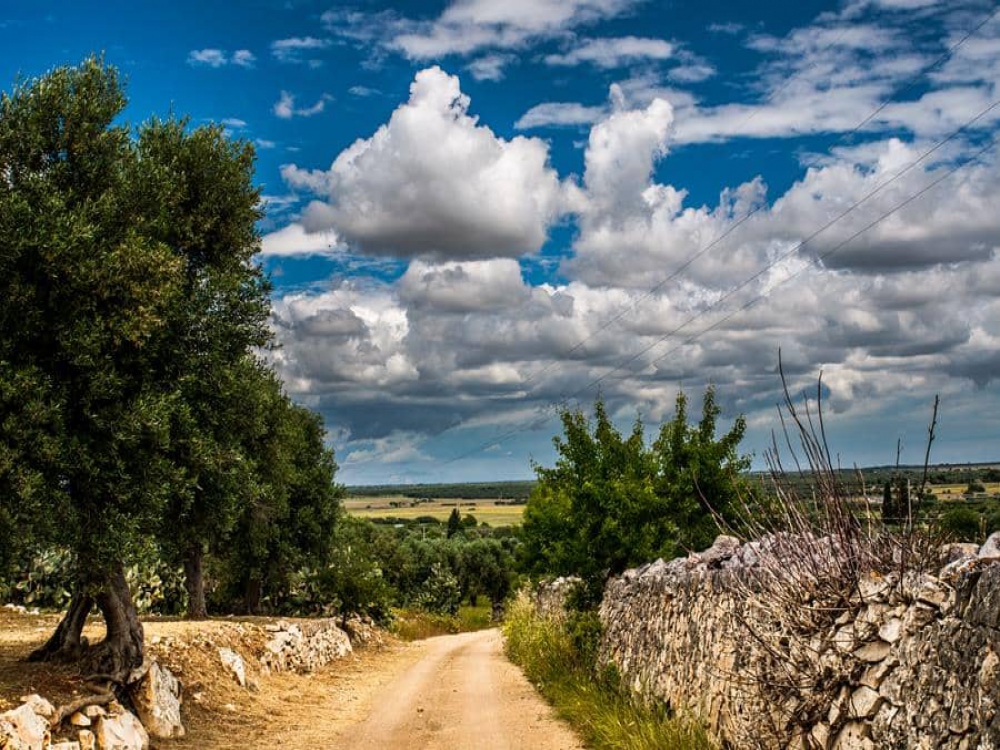 Tour Operator nel Salento
